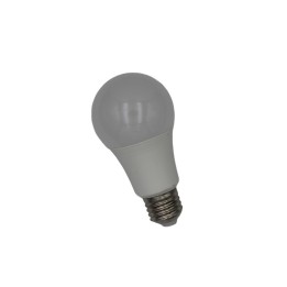 Ampoules LED 12/24 Volts