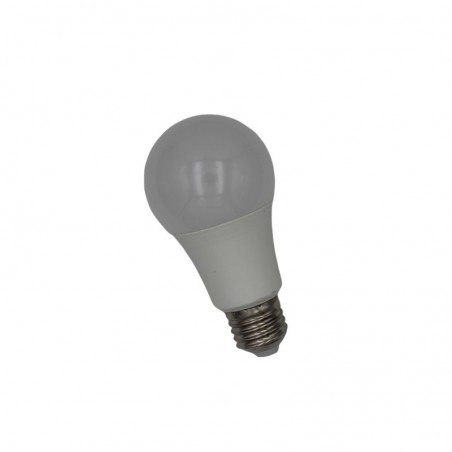 Ampoules LED 12/24 Volts