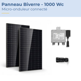 Kit solaire autoconso 2 panneaux DMEGC - micro-onduleur